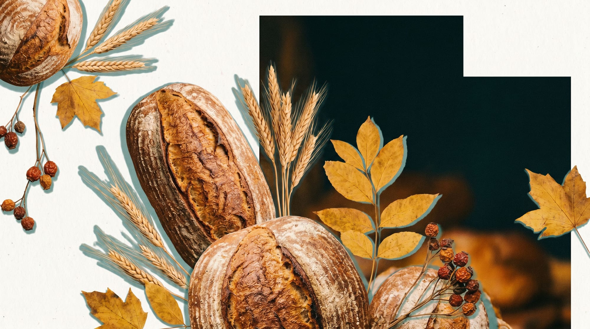N°03 Harvest Time Delights